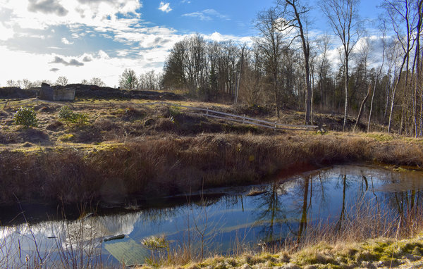 Ferienhaus - Boalt/Vittsjö , Schweden - S11650 103