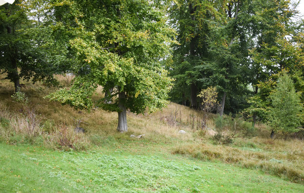 Vakantiehuis S11717