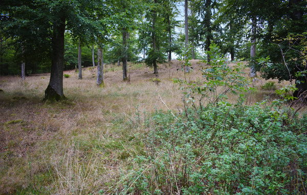 Vakantiehuis S11717