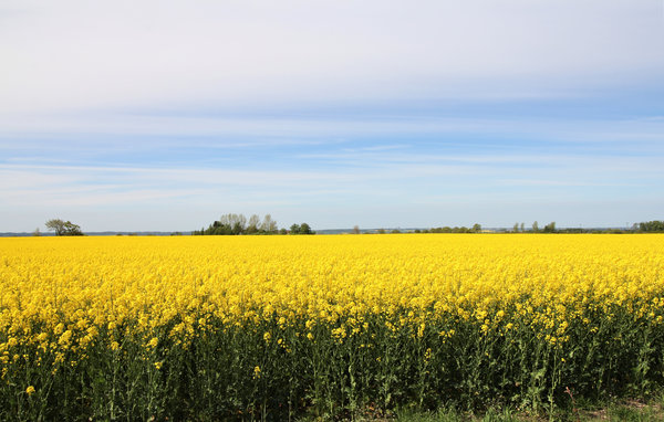 Semesterhus - Löberöd/Skåne , Sverige - S11903 2