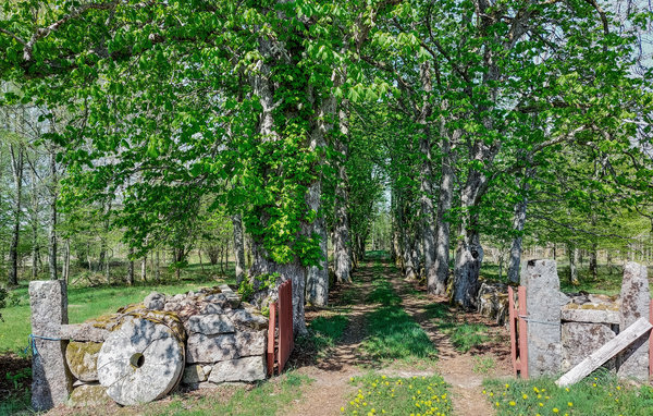 Semesterhus - Björkerås/Osby , Sverige - S12015 9