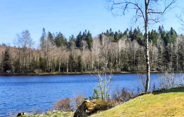 Vakantiehuis - Lönsboda , Zweden - S12150 7