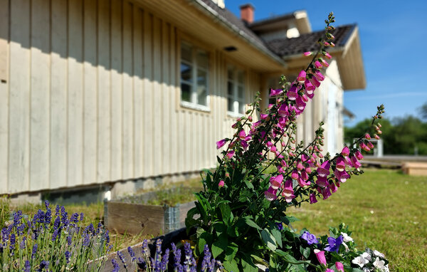 Holiday Home - Bjärnum/Hässleholm , Sweden - S12282 8