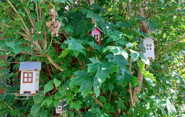 Holiday Home - Bjärnum/Hässleholm , Sweden - S12282 101