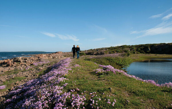 Ferienhaus - Förslöv/Båstad , Schweden - S12284 901