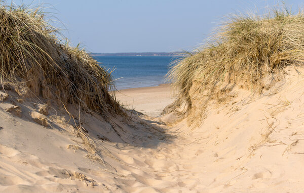 Ferienhaus - Förslöv/Båstad , Schweden - S12284 905