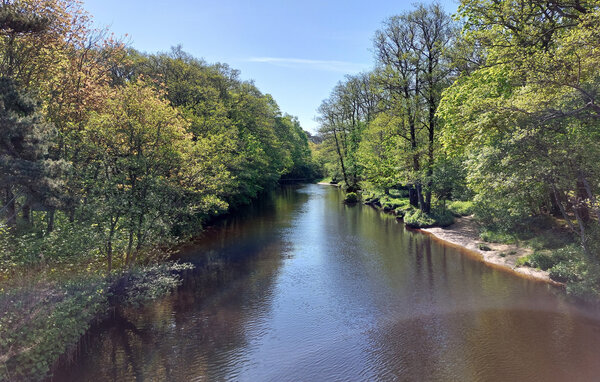 Ferienhaus - Förslöv/Båstad , Schweden - S12284 908