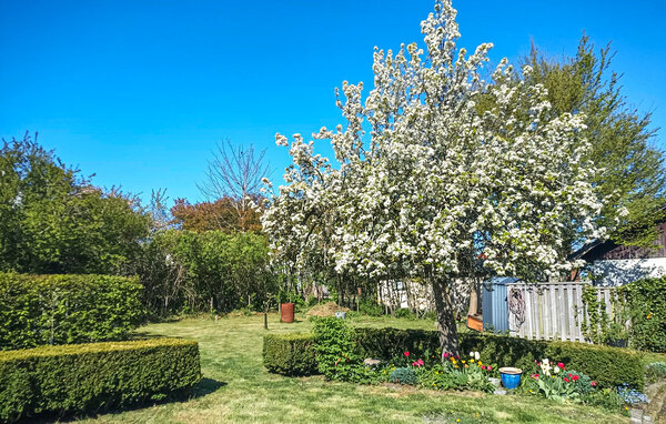Holiday Home - Hammenhög/Ystad/Simrishamn , Sweden - S12332 2