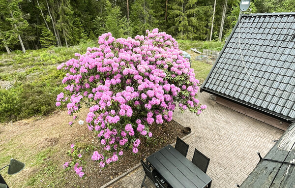 Holiday Home - Vittsjö/Hässlehom , Sweden - S12605 102