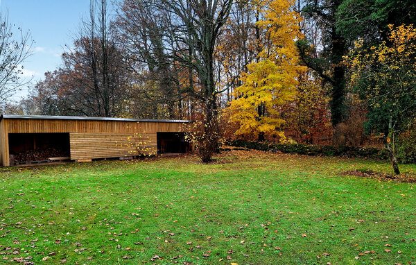 Holiday Home - Höör/Frostavallen , Sweden - S13061 106