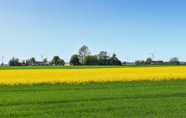 Feriehuse - Österlen/Hammenhög/Simrishamn , Sverige - S13073 903