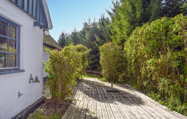 Feriehuse - Österlen/Hammenhög/Simrishamn , Sverige - S13073 2
