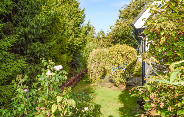 Feriehuse - Österlen/Hammenhög/Simrishamn , Sverige - S13073 103