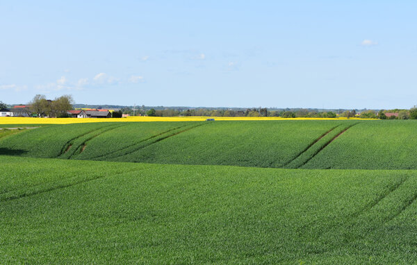 Holiday Home - Ystad/Glemmingebro , Sweden - S13075 901