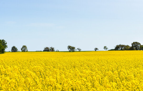 Holiday Home - Ystad/Glemmingebro , Sweden - S13075 902