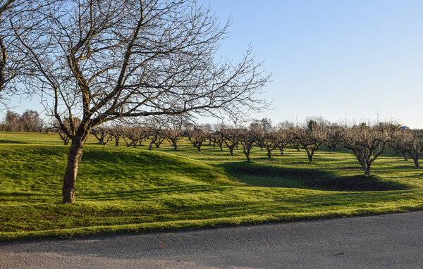 Feriehuse - Simrishamn/Vik , Sverige - S13080 902