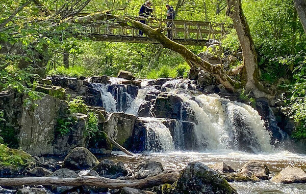 Feriehuse - Simrishamn/Vik , Sverige - S13080 906