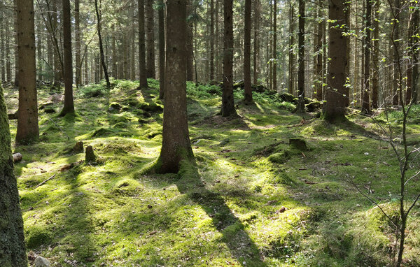 Semesterhus - Lund/Flyinge/Eslöv , Sverige - S13083 905