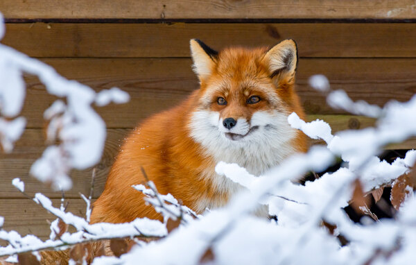 Semesterhus - Ludvigsborg/Hörby , Sverige - S13085 906