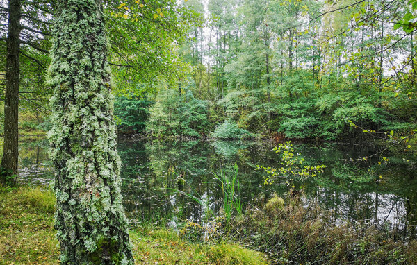 Ferienhaus - Tyringe/Hässleholm , Schweden - S13103 801