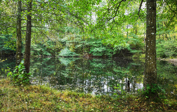 Ferienhaus - Tyringe/Hässleholm , Schweden - S13103 802