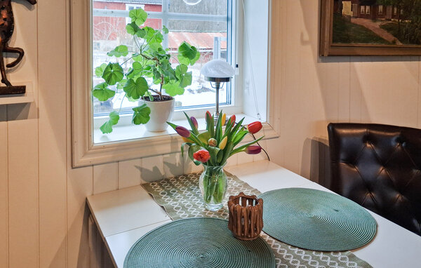 Semesterhus - Tyringe/Hässleholm , Sverige - S13103 4