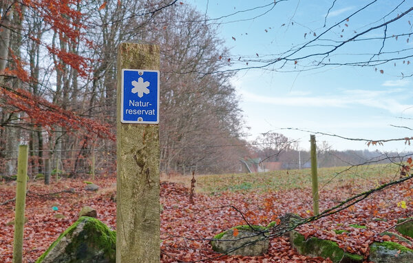 Feriehus - Ullstorp/Höör , Sverige - S13104 903