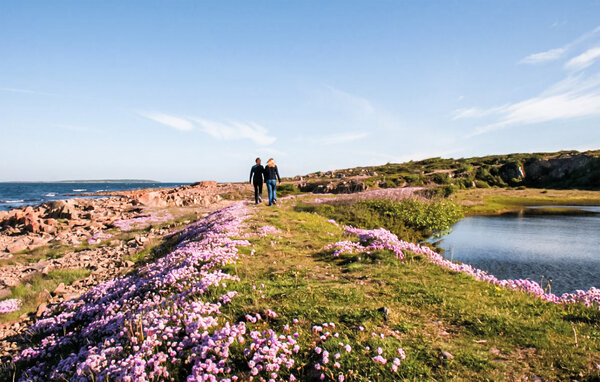 Holiday Home - Båstad , Sweden - S13302 904