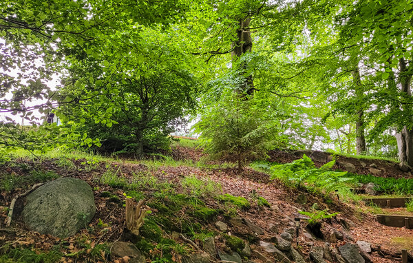 Feriehus - Tjörnarp/Höör , Sverige - S13312 901