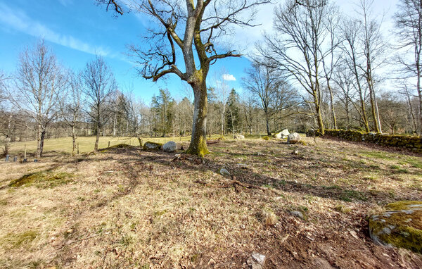 Semesterhus - Hästveda/Hässleholm , Sverige - S13313 102