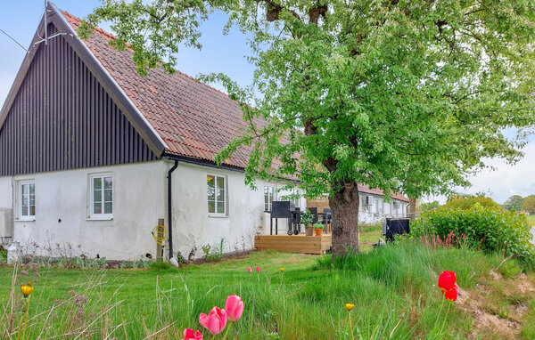 Ferienwohnung - Pärup/Hörby , Schweden - S13319 6