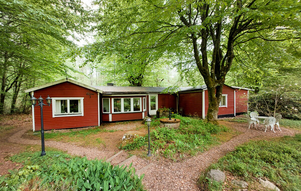 Domy wakacyjne - Bosarpasjön/Hässleholm , Szwecja - S13320 1