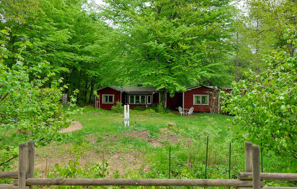 Domy wakacyjne - Bosarpasjön/Hässleholm , Szwecja - S13320 81