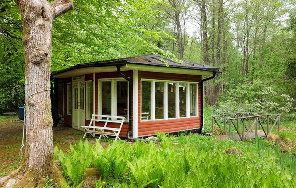 Domy wakacyjne - Bosarpasjön/Hässleholm , Szwecja - S13320 101
