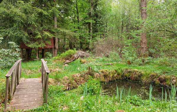 Domy wakacyjne - Bosarpasjön/Hässleholm , Szwecja - S13320 103