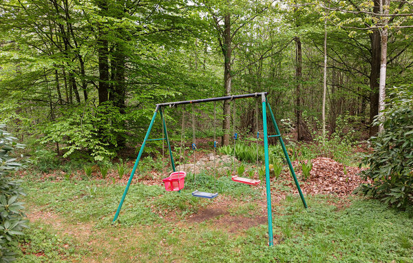 Domy wakacyjne - Bosarpasjön/Hässleholm , Szwecja - S13320 104
