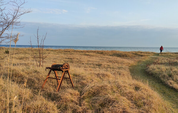 Ferienhaus - Gislövs Strandmark/Trelleborg , Schweden - S13334 905