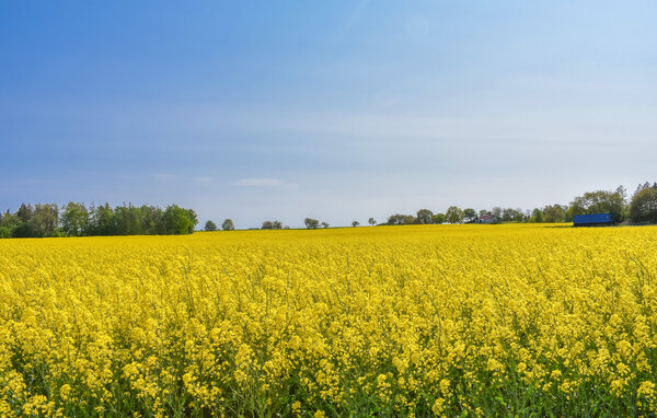 Holiday Home - Österlen/Hammenhög/Simrishamn , Sweden - S13337 8