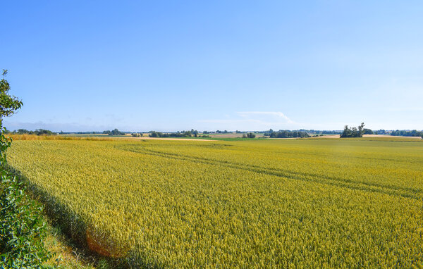 Holiday Home - Österlen/Hammenhög/Simrishamn , Sweden - S13337 901