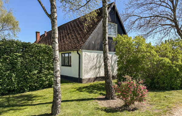 Domy wakacyjne - Österlen/Hammenhög/Simrishamn , Szwecja - S13337 81
