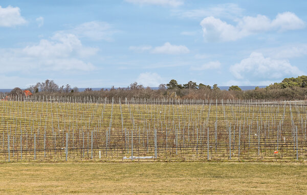 Semesterhus - Kivik/Simrishamn , Sverige - S13342 902