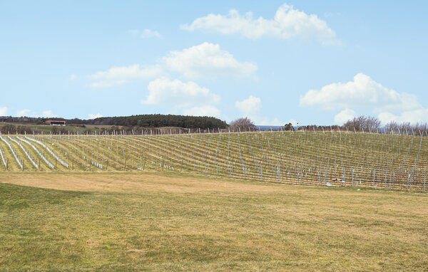 Semesterhus - Kivik/Simrishamn , Sverige - S13345 901
