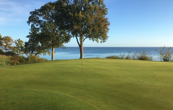 Feriehuse - Lilla Vik/Simrishamn/Kivik , Sverige - S13349 901