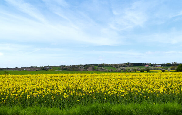 Semesterhus - Simrishamn/Gärsnäs/Gyllebo , Sverige - S13350 901