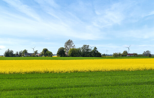 Semesterhus - Simrishamn/Gärsnäs/Gyllebo , Sverige - S13350 902