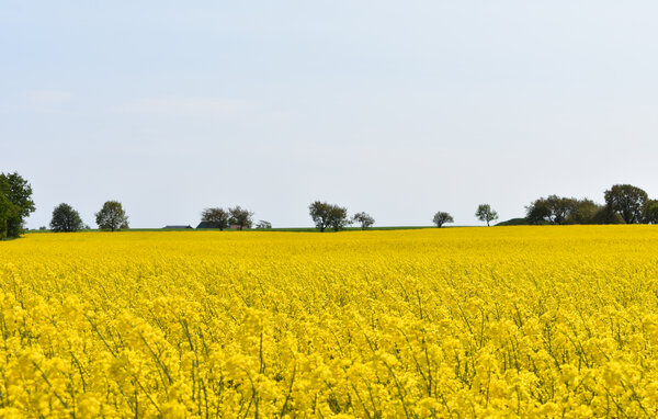 Semesterhus - Simrishamn/Gärsnäs/Gyllebo , Sverige - S13350 8