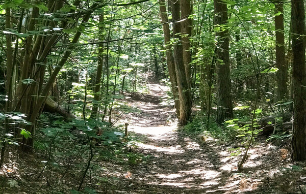 Feriehus - Österlen/Skillinge , Sverige - S14206 905