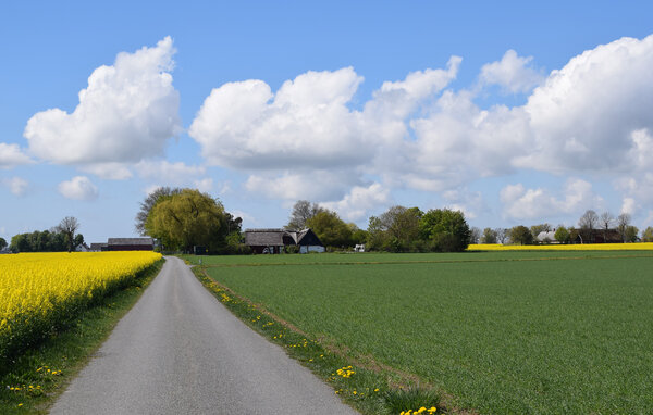 Semesterhus - Österlen/Skillinge , Sverige - S14206 906