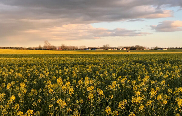 Feriehus - Österlen/Skillinge , Sverige - S14206 202