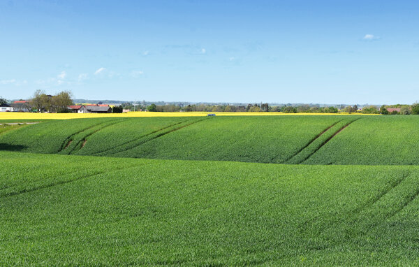 Feriehus - Österlen/Skillinge , Sverige - S14206 203